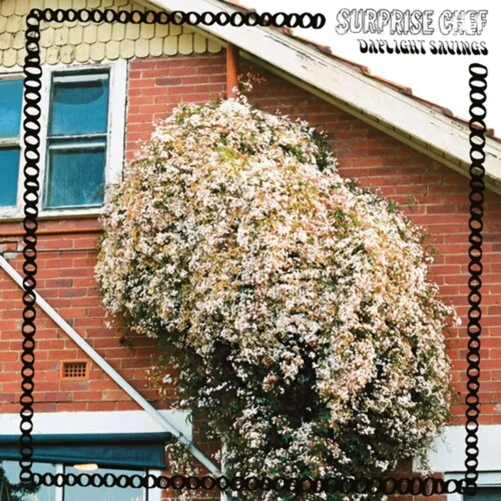 Виниловая пластинка Surprise Chef – Daylight Savings 2020 Sealed