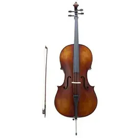 Скрипка PRIMA P-200 3/4 (чехол, смычок)