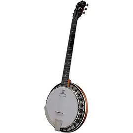 Электроакустическое Банджо Deering Boston 6-String Acoustic-Electric Banjo