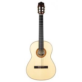 Rosa-Artista-w/case Flamenco Series Классическая гитара, Kremona