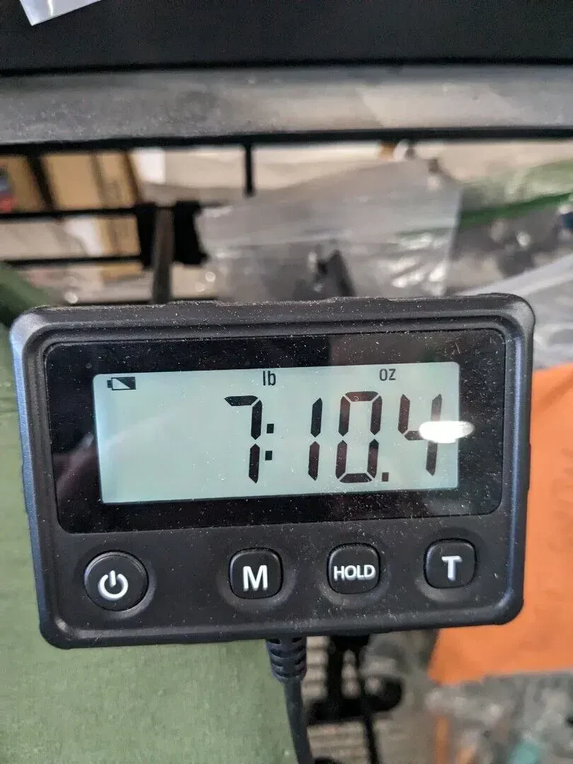 Изображение №9