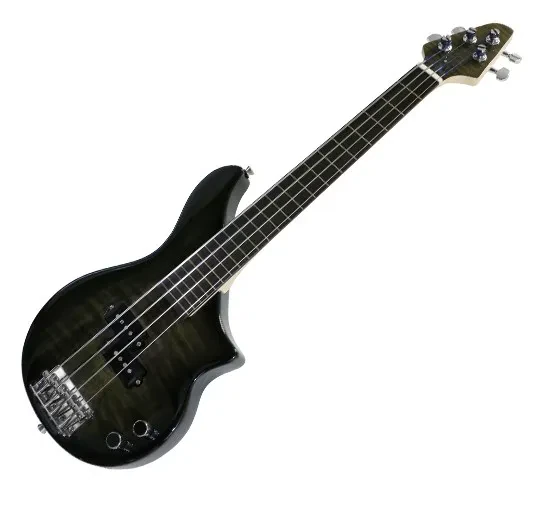 TINY BASS TBP-3450BFM Bass