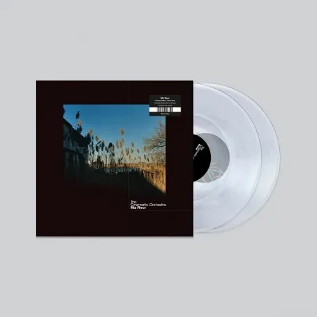 Виниловая пластинка The Cinematic Orchestra – Ma Fleur