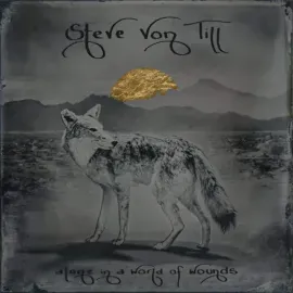 Виниловая пластинка Steve Von Till – Alone In A World Of Wounds Релиз 2025