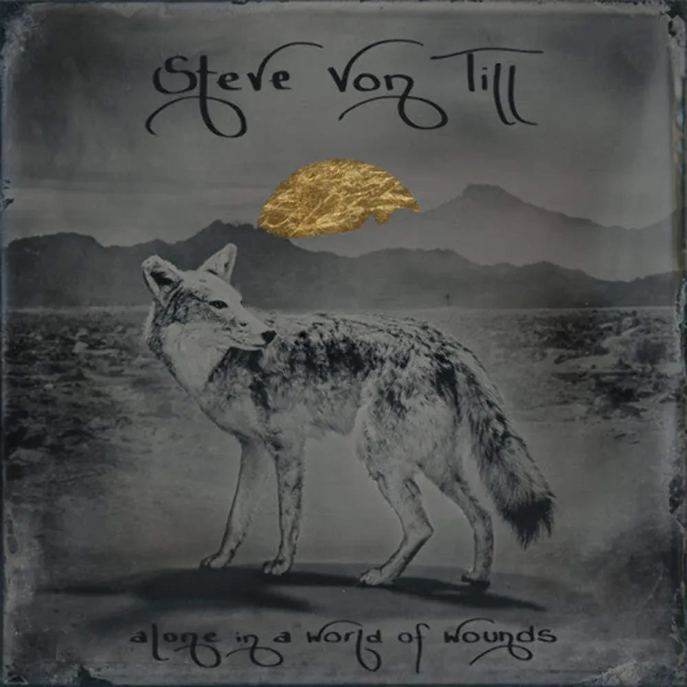 Виниловая пластинка Steve Von Till – Alone In A World Of Wounds Релиз 2025