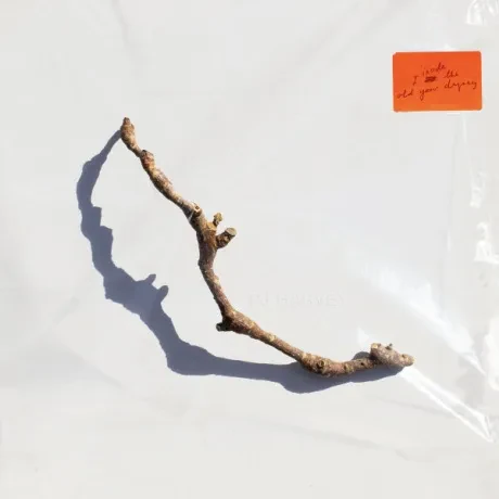 Виниловая пластинка PJ Harvey – I Inside The Old Year Dying
