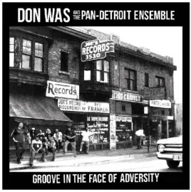 Виниловая пластинка Don Was – Groove In The Face Of Adversity 2025