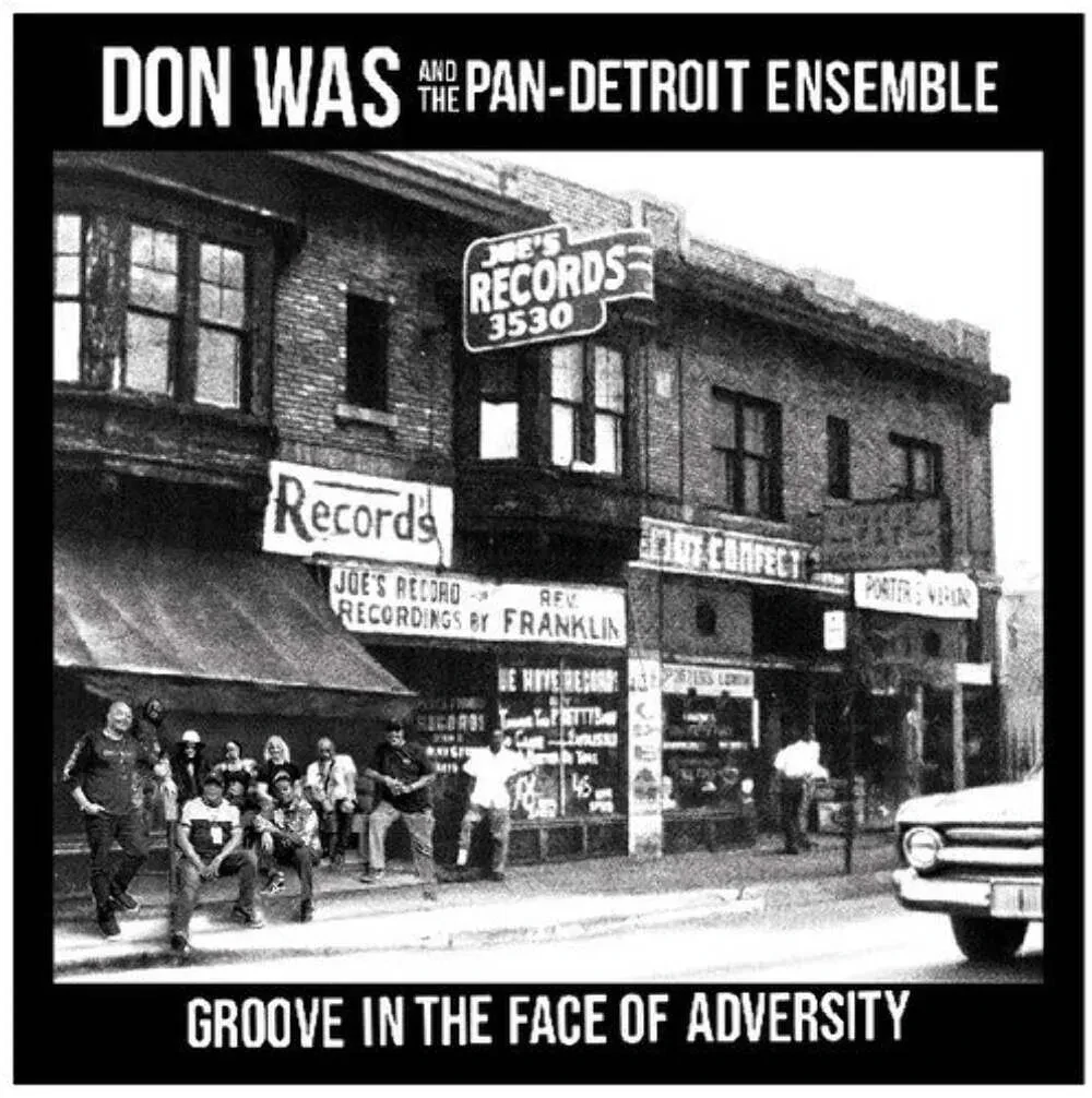 Виниловая пластинка Don Was – Groove In The Face Of Adversity 2025
