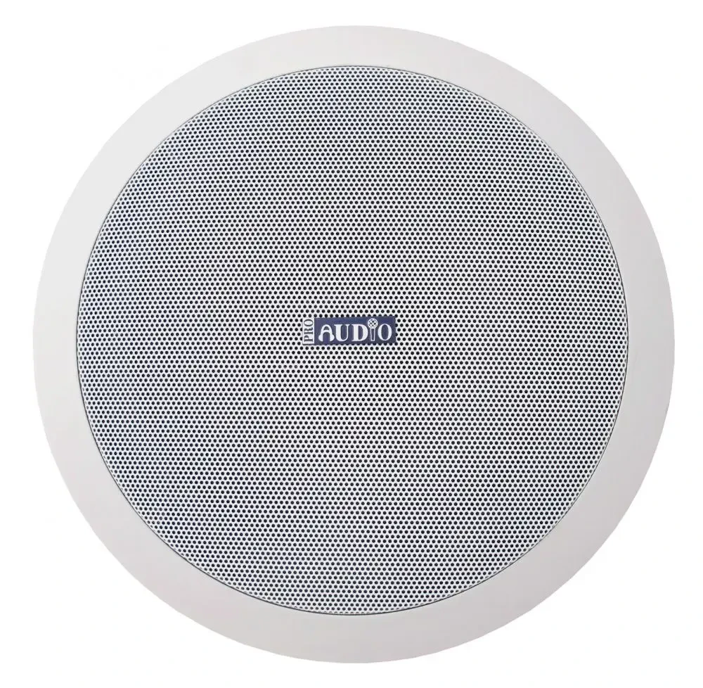 Потолочный громкоговоритель Proaudio CS-10