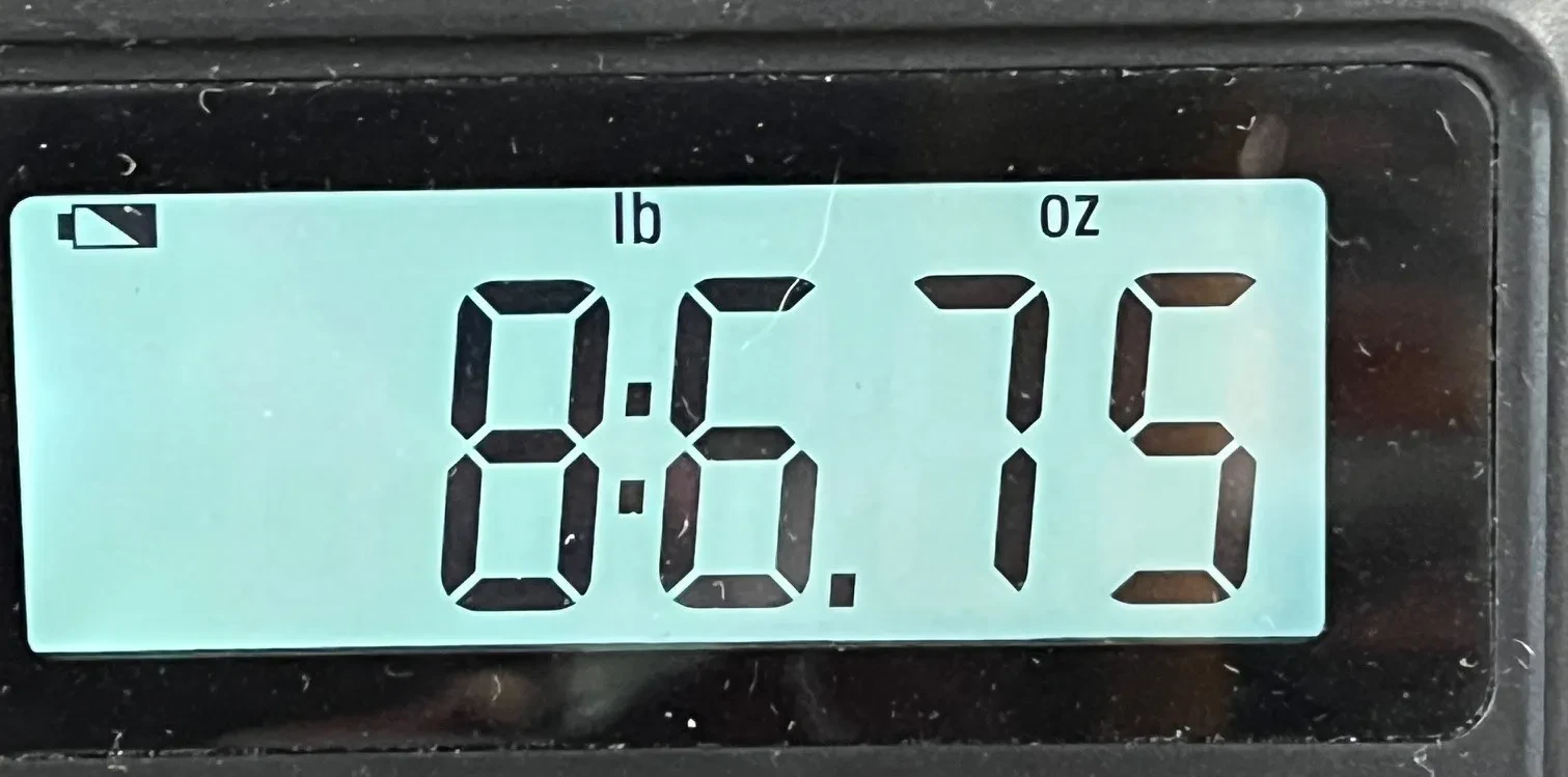 Изображение №5