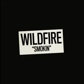 Виниловая пластинка Wildfire – Smokin' (Релиз 2025)