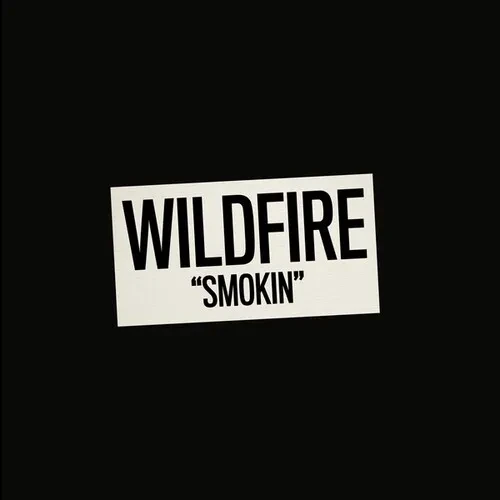 Виниловая пластинка Wildfire – Smokin' (Релиз 2025)