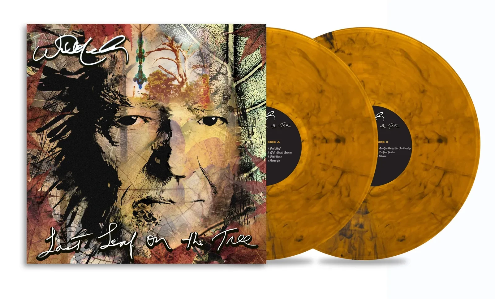 Виниловая пластинка Willie Nelson – Last Leaf On The Tree, Amber Fossil (Релиз 2024)