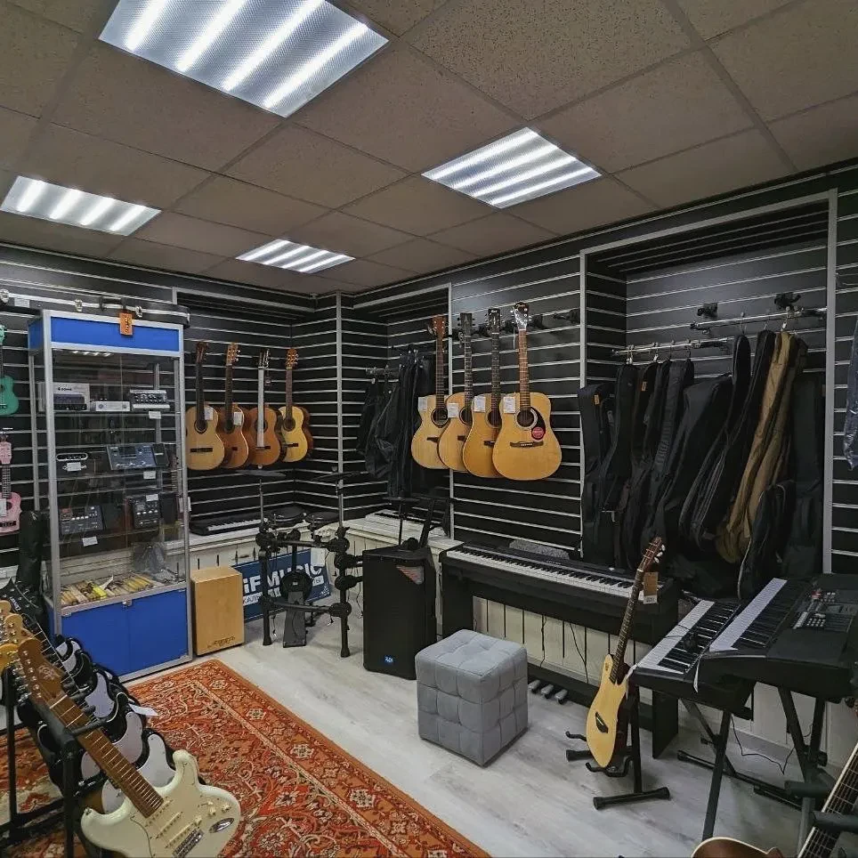 SKIFMUSIC — музыкальный магазин в Череповце