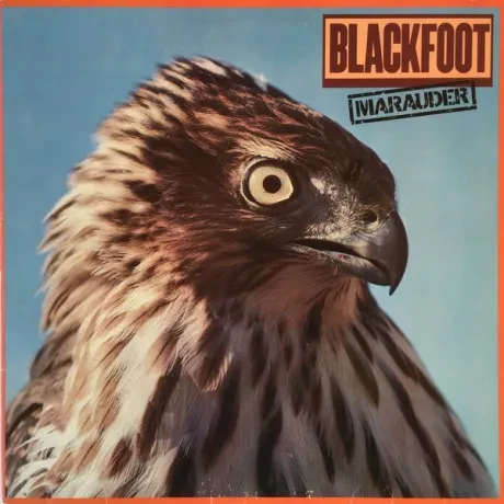 BLACKFOOT - Marauder (LP , Used)