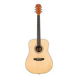 Акустическая гитара Omni D-220 NT