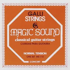 Струны для классической гитары Galli Magic Sound MS110 28-44