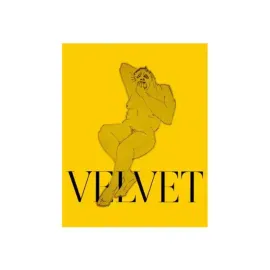 Виниловая пластинка Velvet Negroni – Neon Brown 2019 Sealed