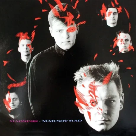MADNESS - Mad Not Mad (LP , Used)
