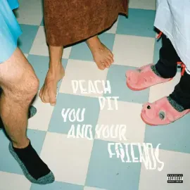 Peach Pit - You And Your Friends NEW Sealed Vinyl LP Album