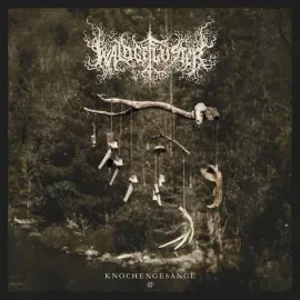 Виниловая пластинка Waldgefluster – Knochengesange 2 (Релиз 2025)