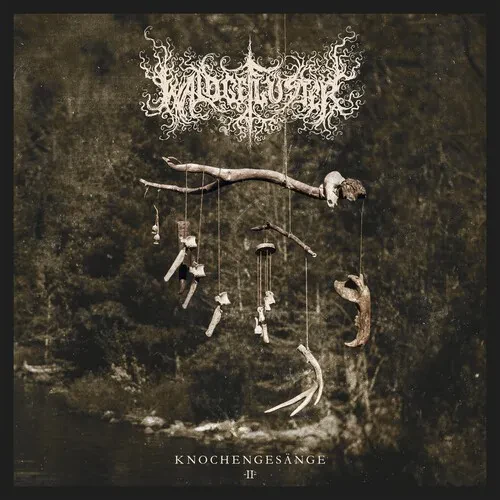 Виниловая пластинка Waldgefluster – Knochengesange 2 (Релиз 2025)