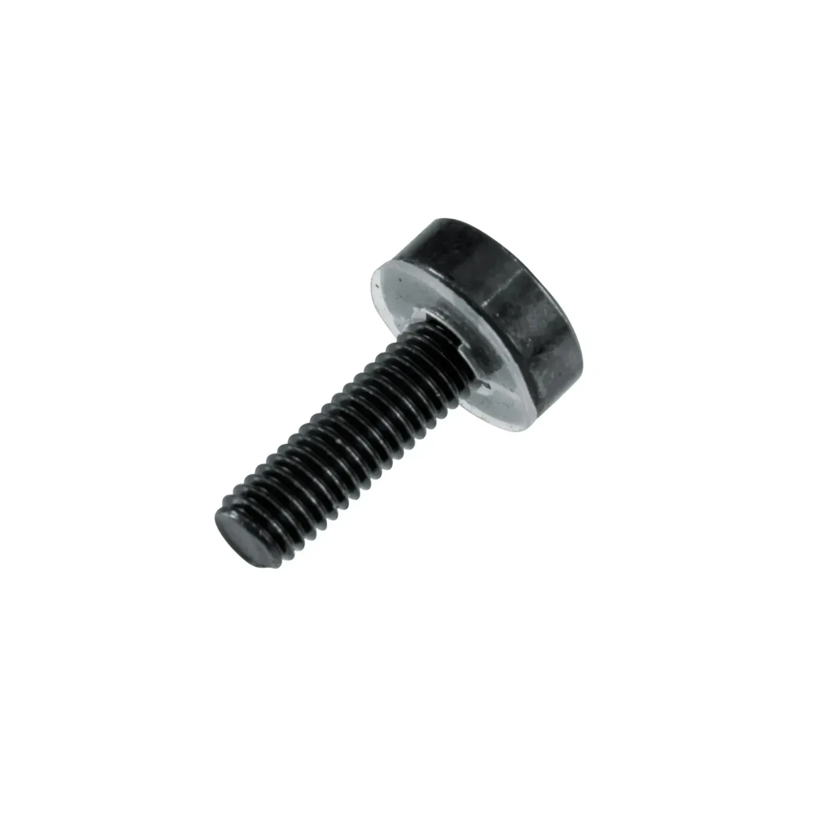 Изображение №6