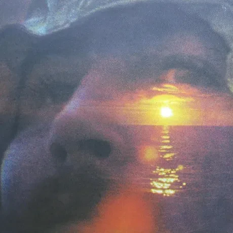 DAVID CROSBY - If I Could Only Remember My Name (LP , Used)