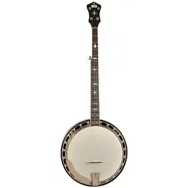 Банджо Recording King RK-R36 Madison Select Mahogany Resonator Banjo