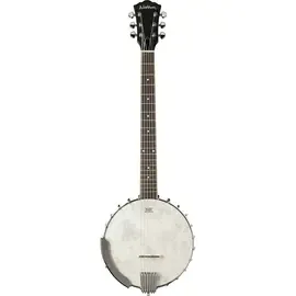 Банджо Washburn B6 6-String Banjo