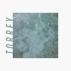 Torrey - Torrey [White Vinyl] NEW Vinyl