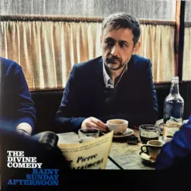 Виниловая пластинка The Divine Comedy – Rainy Sunday Afternoon