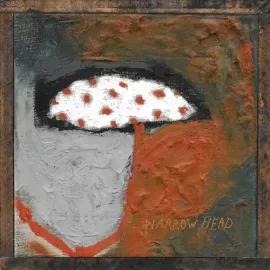 Виниловая пластинка Narrow Head - 12th House Rock - Hardwood [New Vinyl LP] Colored Vinyl