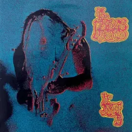 Виниловая пластинка The Bevis Frond - It Just Is [New Vinyl LP] Digital Download