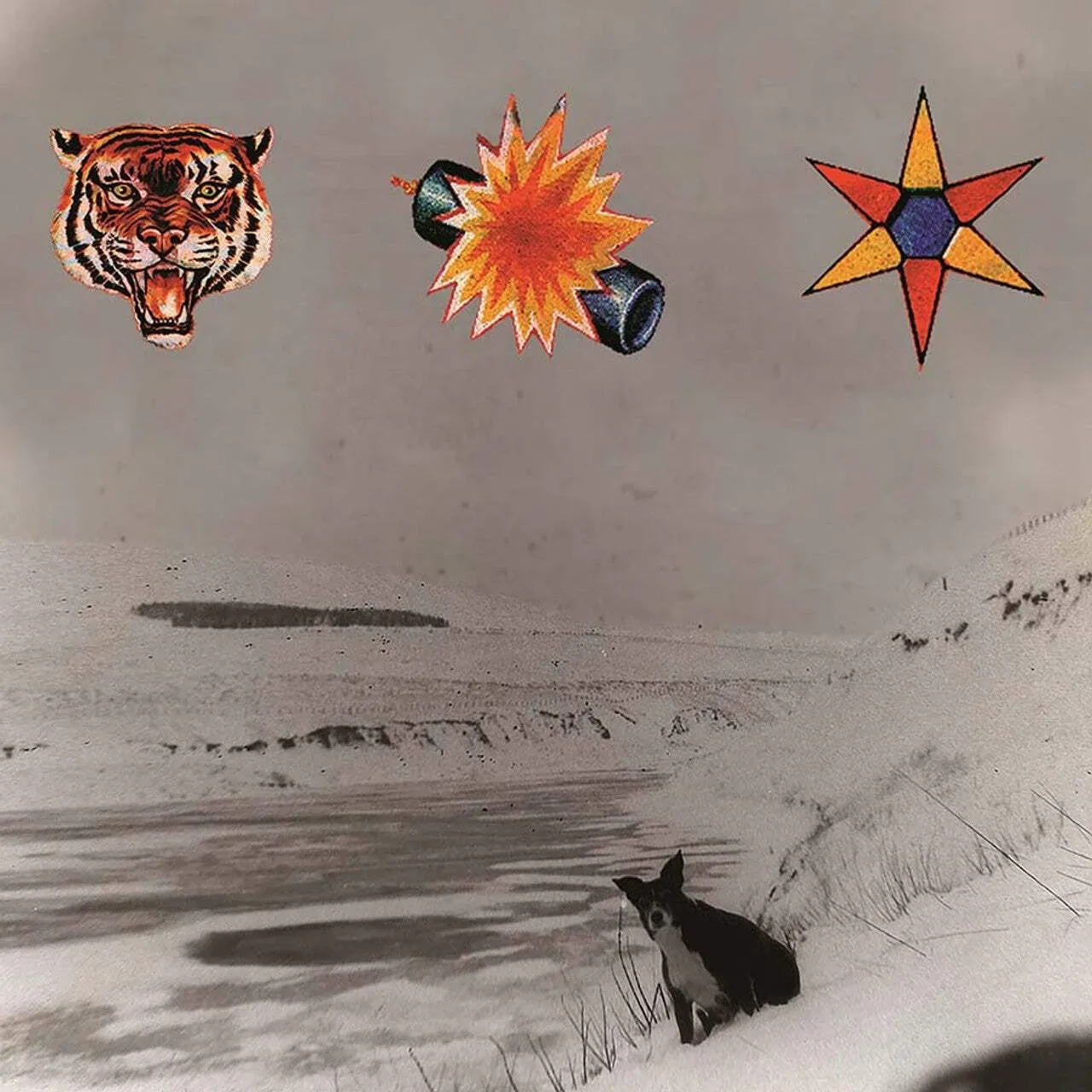 Виниловая пластинка The Beta Band – The Three E.P.'s Релиз 2025
