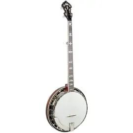 Банджо Recording King The Elite Traditional Banjo