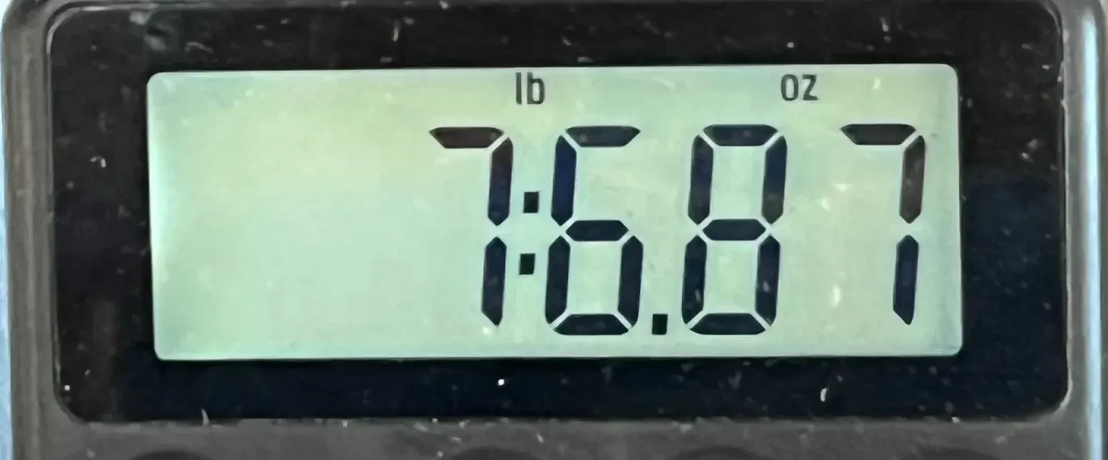 Изображение №8