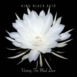King Black Acid - Victory For Mad Love RSD 2024 Vinyl