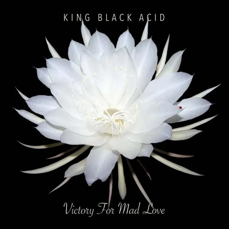 King Black Acid - Victory For Mad Love RSD 2024 Vinyl