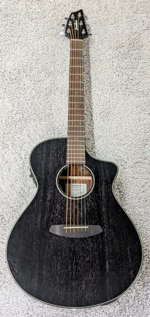 Электроакустическая гитара Breedlove ECO Rainforest S Concert Orchid