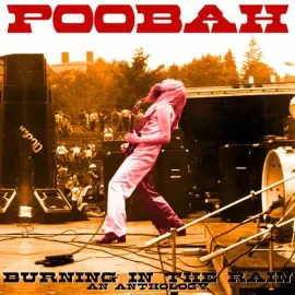 Виниловая пластинка Poobah - Burning In The Rain: An Anthology [New Vinyl LP]