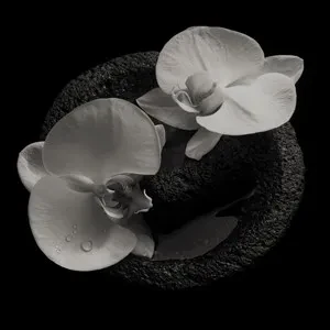 MIKE PATTON / JEAN-CLAUDE VANNIER - Corpse Flower (CD)