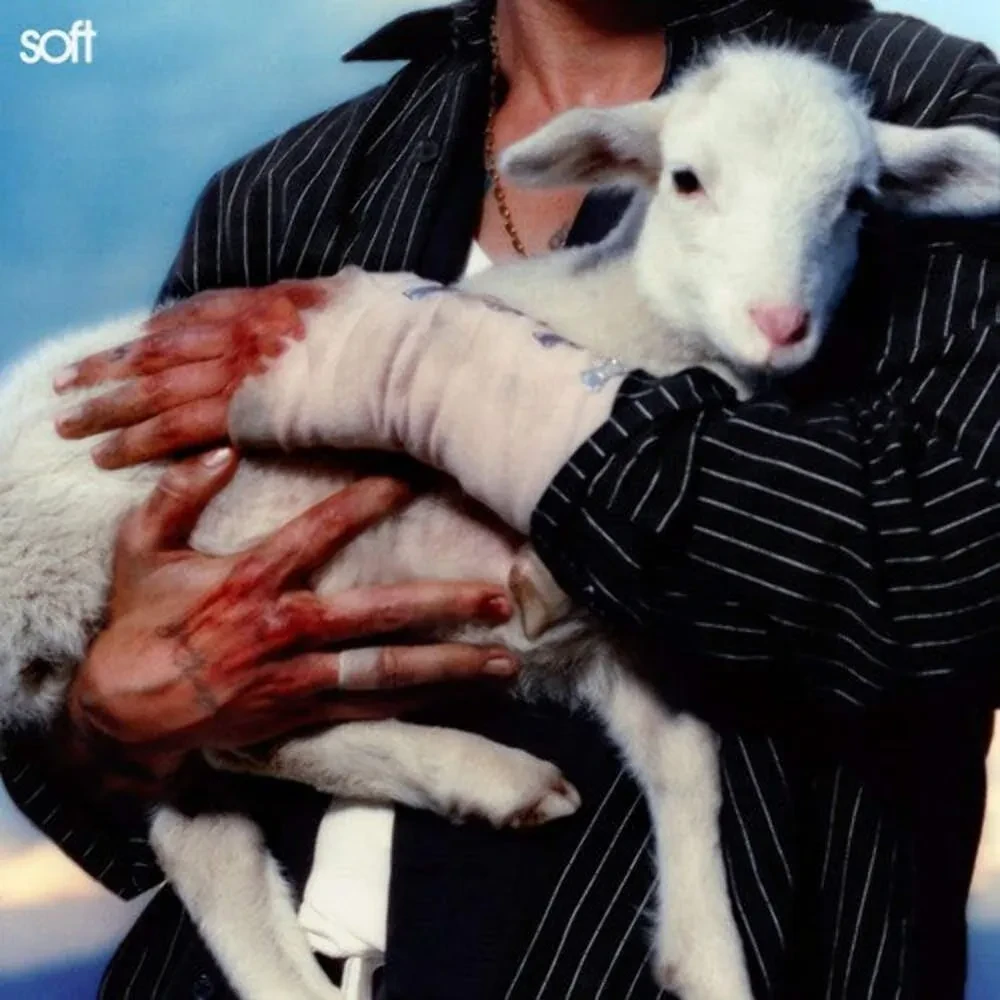 Виниловая пластинка LANY – Soft (Релиз 2025)
