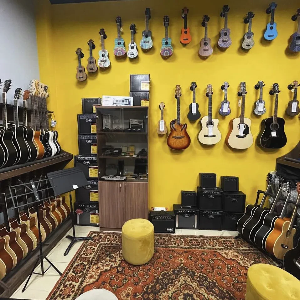 SKIFMUSIC — музыкальный магазин в Находке
