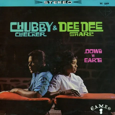 CHUBBY CHECKER - Down To Earth (LP , Used)