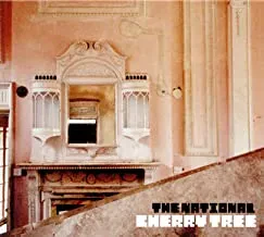 THE NATIONAL - Cherry Tree (CD)