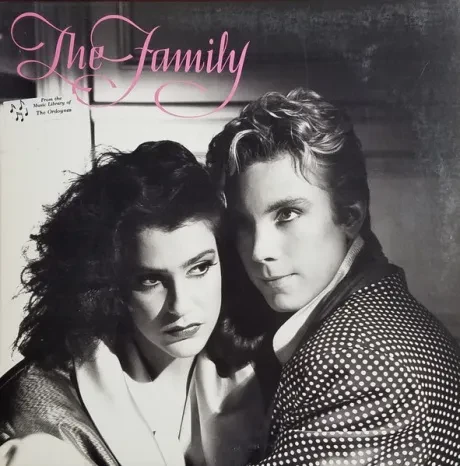 THE FAMILY - The Family (LP , Used)