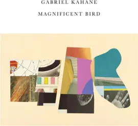 Виниловая пластинка Gabriel Kahane – Magnificent Bird (Релиз 2022) Sealed