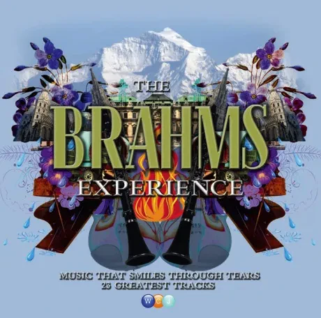 VARIOUS ARTISTS - Brahms Experience (2CD)