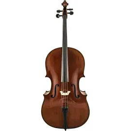 Scherl and Roth SR85M Montagnana Series Professional Cello Outfit 44